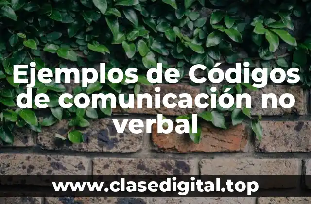 Ejemplos de Códigos de comunicación no verbal