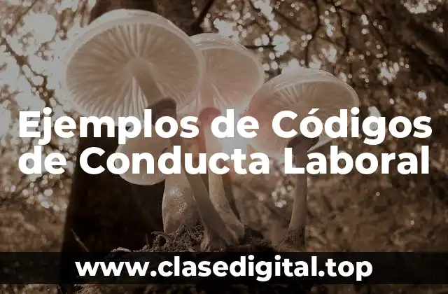 Ejemplos de Códigos de Conducta Laboral