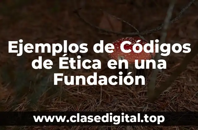 Ejemplos de Códigos de Ética en una Fundación