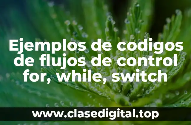 Ejemplos de codigos de flujos de control for, while, switch