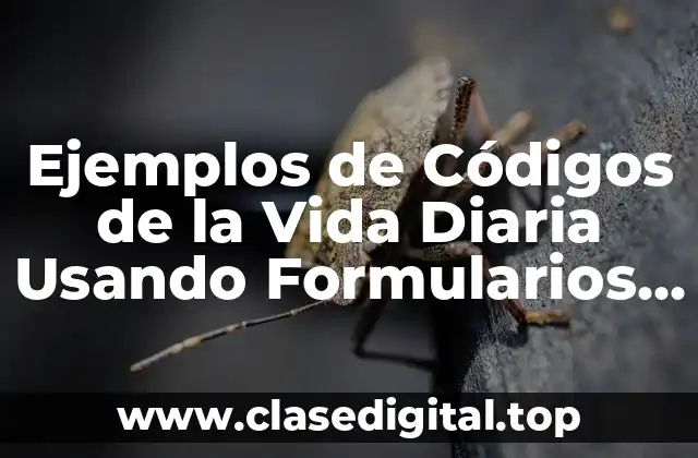 Ejemplos de Códigos de la Vida Diaria Usando Formularios y Significado