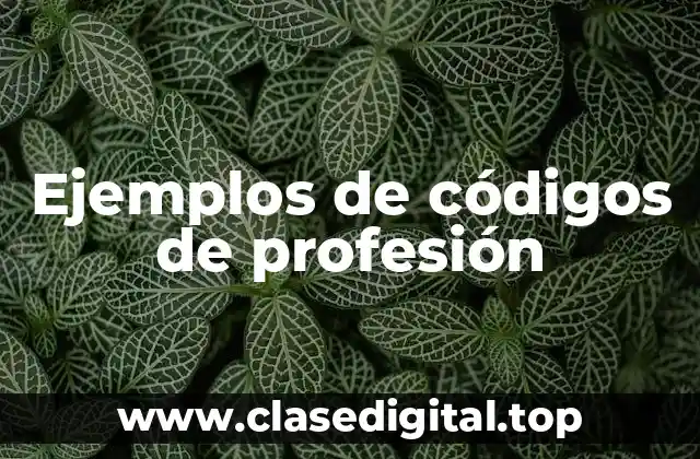 Ejemplos de códigos de profesión