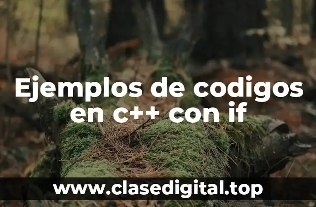 Ejemplos de codigos en c++ con if
