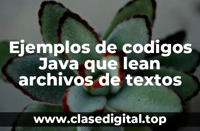 Ejemplos de codigos Java que lean archivos de textos