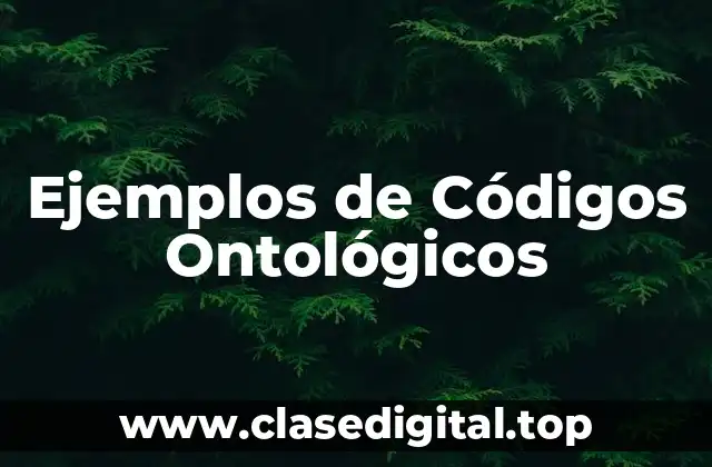 Ejemplos de Códigos Ontológicos