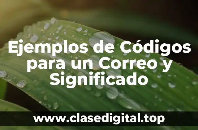 Ejemplos de Códigos para un Correo y Significado