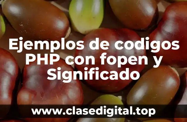 Ejemplos de codigos PHP con fopen y Significado