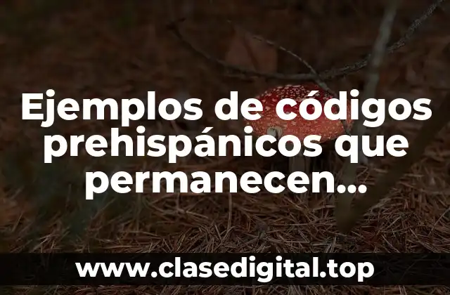 Ejemplos de códigos prehispánicos que permanecen vigentes