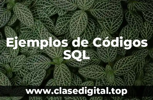 Ejemplos de Códigos SQL