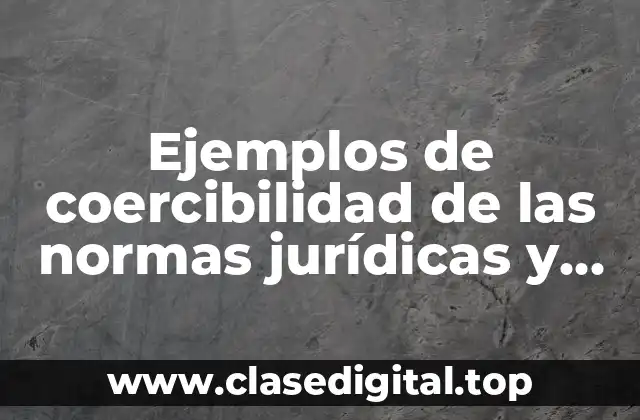 Ejemplos de coercibilidad de las normas jurídicas y Significado