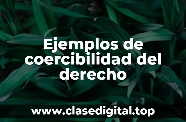 Ejemplos de coercibilidad del derecho