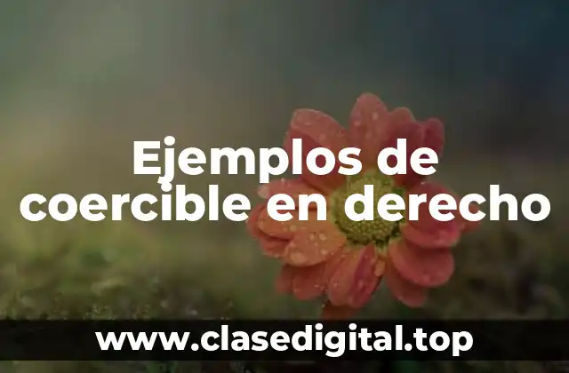 Ejemplos de coercible en derecho