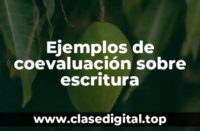 Ejemplos de coevaluación sobre escritura