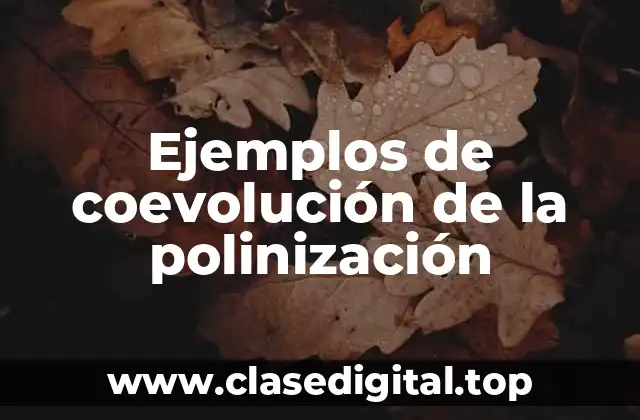 Ejemplos de coevolución de la polinización