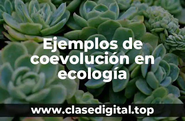 Ejemplos de coevolución en ecología