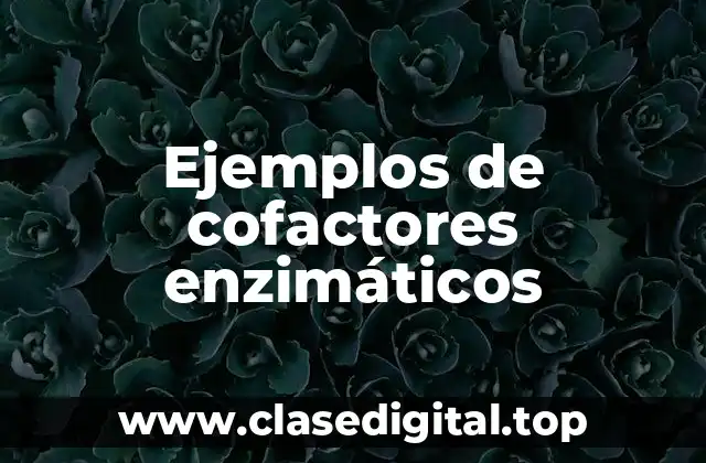 Ejemplos de cofactores enzimáticos