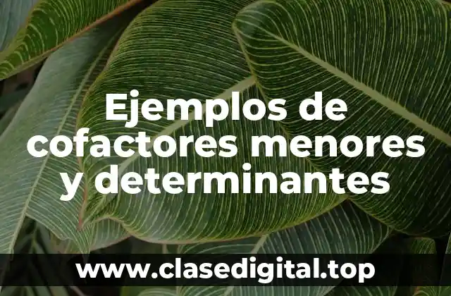 Ejemplos de cofactores menores y determinantes