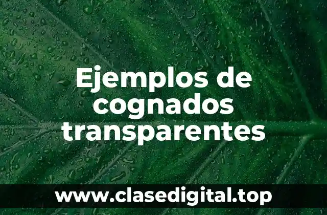 Ejemplos de cognados transparentes