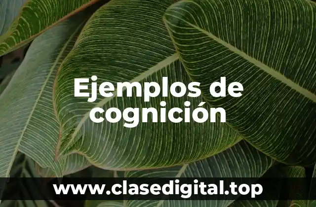 Ejemplos de cognición