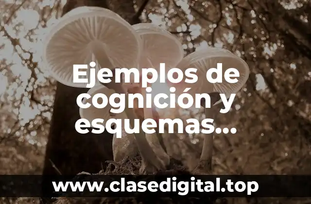 Ejemplos de cognición y esquemas cognitivos