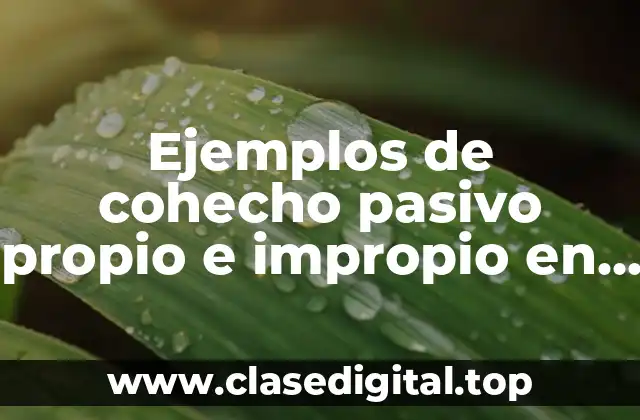 Ejemplos de cohecho pasivo propio e impropio en el Perú