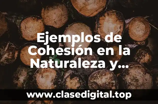 Ejemplos de Cohesión en la Naturaleza