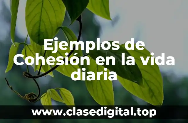 Ejemplos de Cohesión en la vida diaria