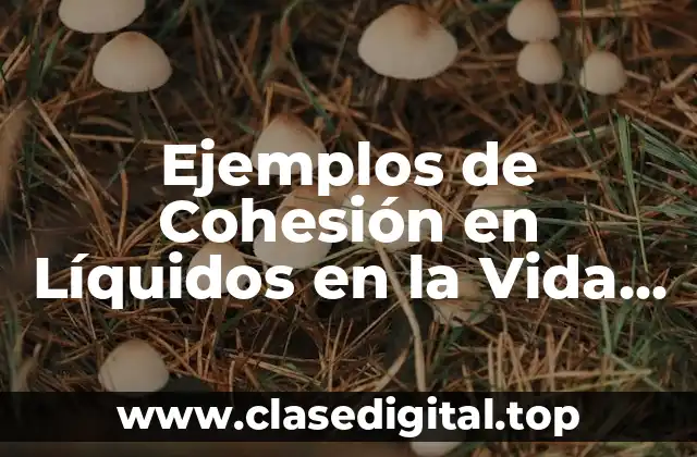 Ejemplos de Cohesión en Líquidos