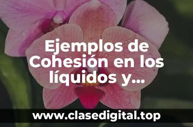 Ejemplos de Cohesión en los líquidos y Significado