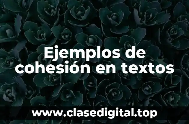 Ejemplos de cohesión en textos