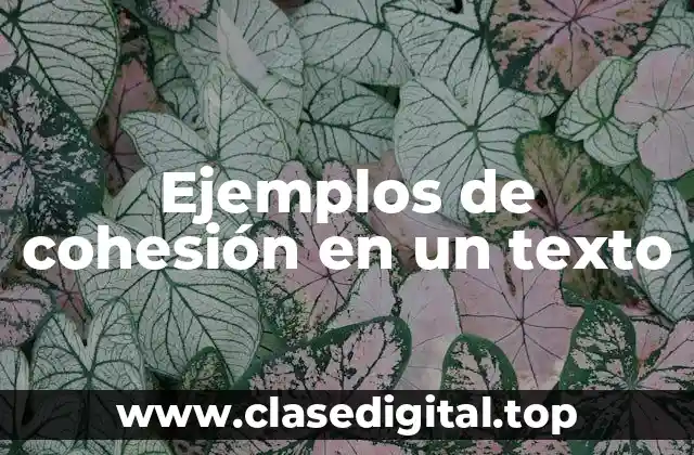 Ejemplos de cohesión en un texto