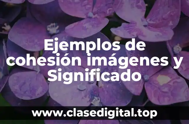 Ejemplos de cohesión imágenes