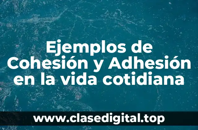 Ejemplos de Cohesión y Adhesión en la vida cotidiana
