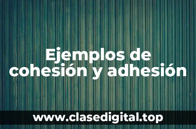 Ejemplos de cohesión y adhesión