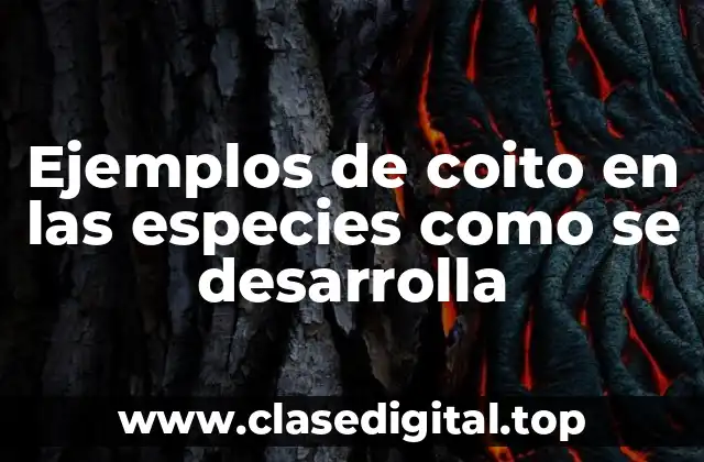 Ejemplos de coito en las especies como se desarrolla