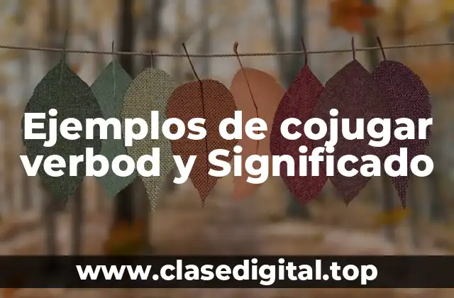 Ejemplos de cojugar verbod y Significado