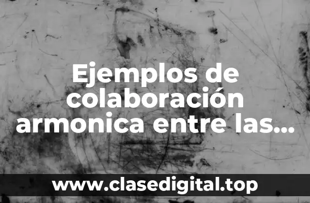 Ejemplos de colaboración armonica entre las ramas del poder público