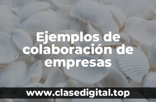 Ejemplos de colaboración de empresas