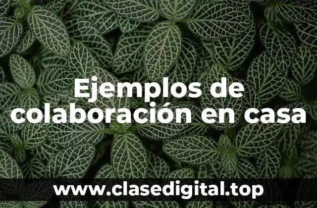 Ejemplos de colaboración en casa