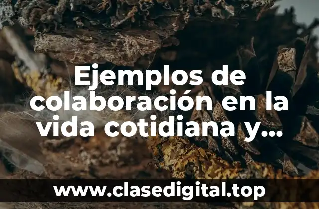 Ejemplos de colaboración en la vida cotidiana y Significado