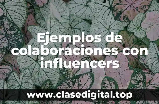 Ejemplos de colaboraciones con influencers