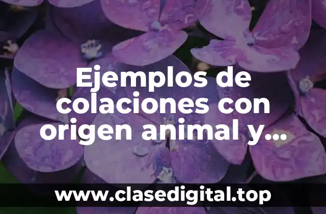 Ejemplos de colaciones con origen animal y Significado