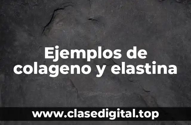 Ejemplos de colageno y elastina