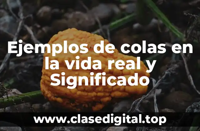 Ejemplos de colas en la vida real y Significado