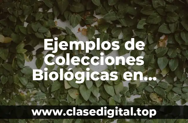 Ejemplos de Colecciones Biológicas en Organismos Vegetales