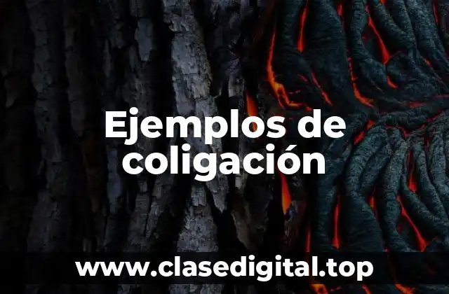Ejemplos de coligación