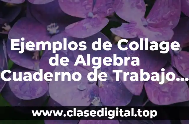 Ejemplos de Collage de Algebra Cuaderno de Trabajo