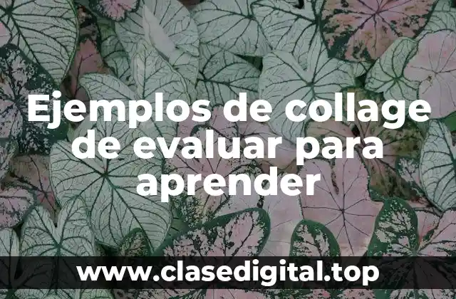 Ejemplos de collage de evaluar para aprender
