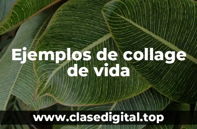 Ejemplos de collage de vida