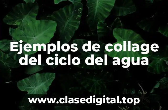 Ejemplos de collage del ciclo del agua